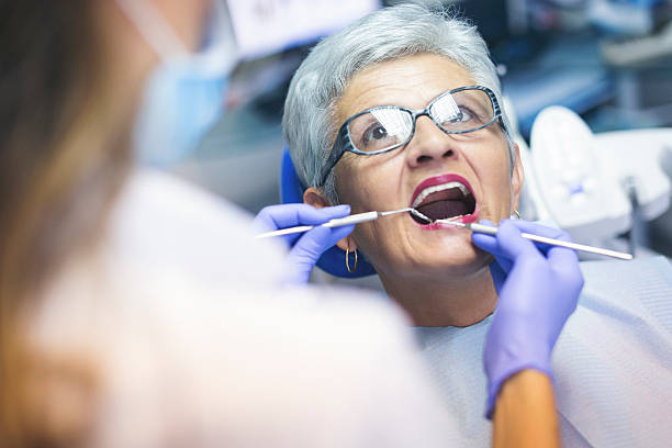 Professional  Holistic Dental Services in Evans, CO